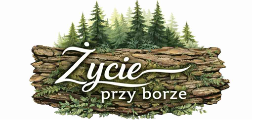 Zycie przy borze